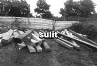 Foto: Tumpukan kayu yang diduga hasil pembalakan liar ditemukan di kawasan hutan PT STM, memicu sorotan terhadap lemahnya pengawasan.