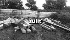 Foto: Tumpukan kayu yang diduga hasil pembalakan liar ditemukan di kawasan hutan PT STM, memicu sorotan terhadap lemahnya pengawasan.