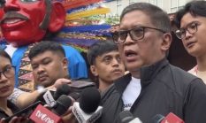 Hasto Desak Lahan Bekas Karhutla Tak Dialihkan ke Perkebunan Sawit